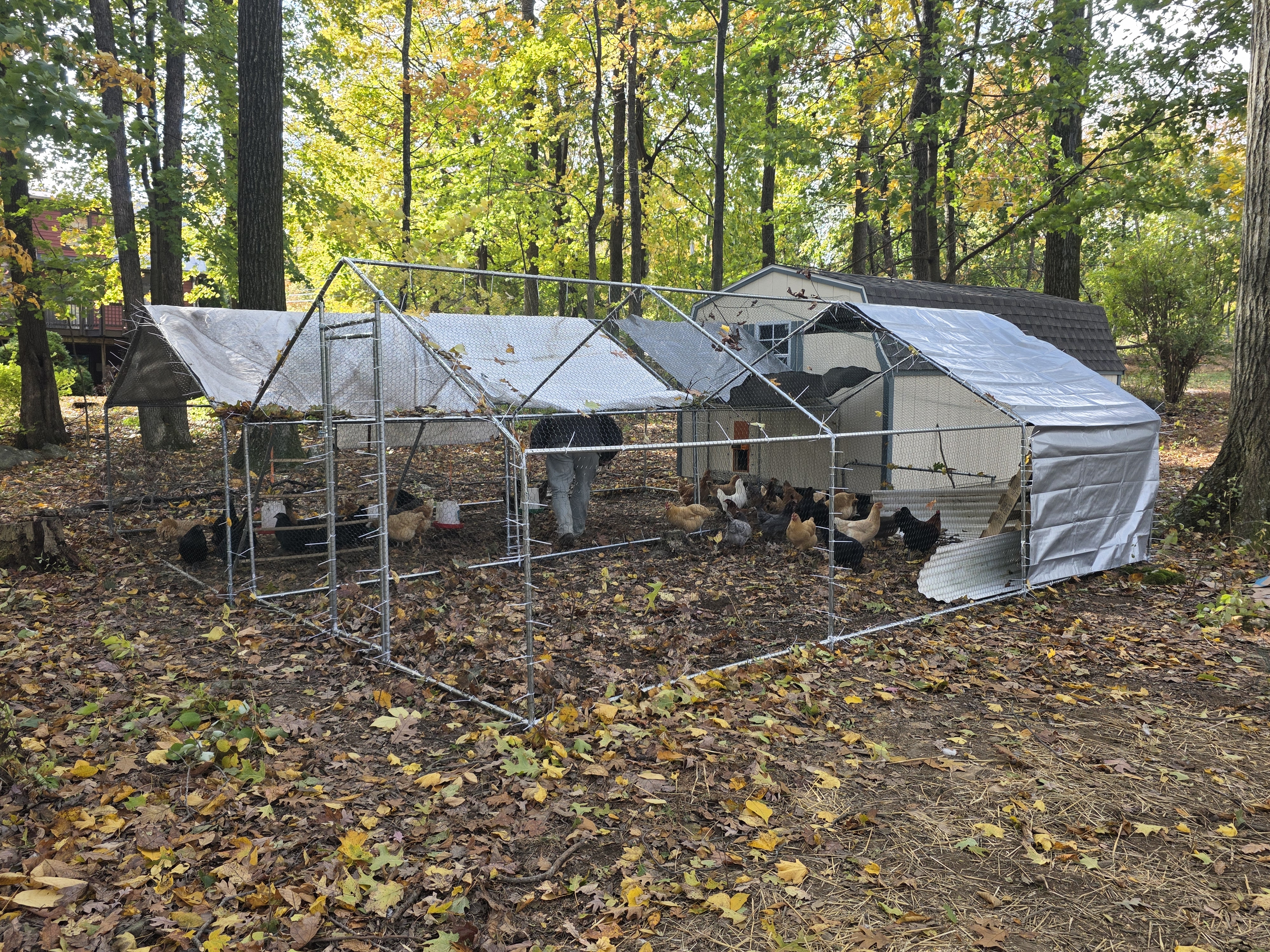 An all new farm from scratch